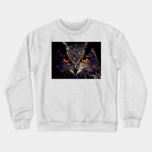 cool owl comic style Crewneck Sweatshirt